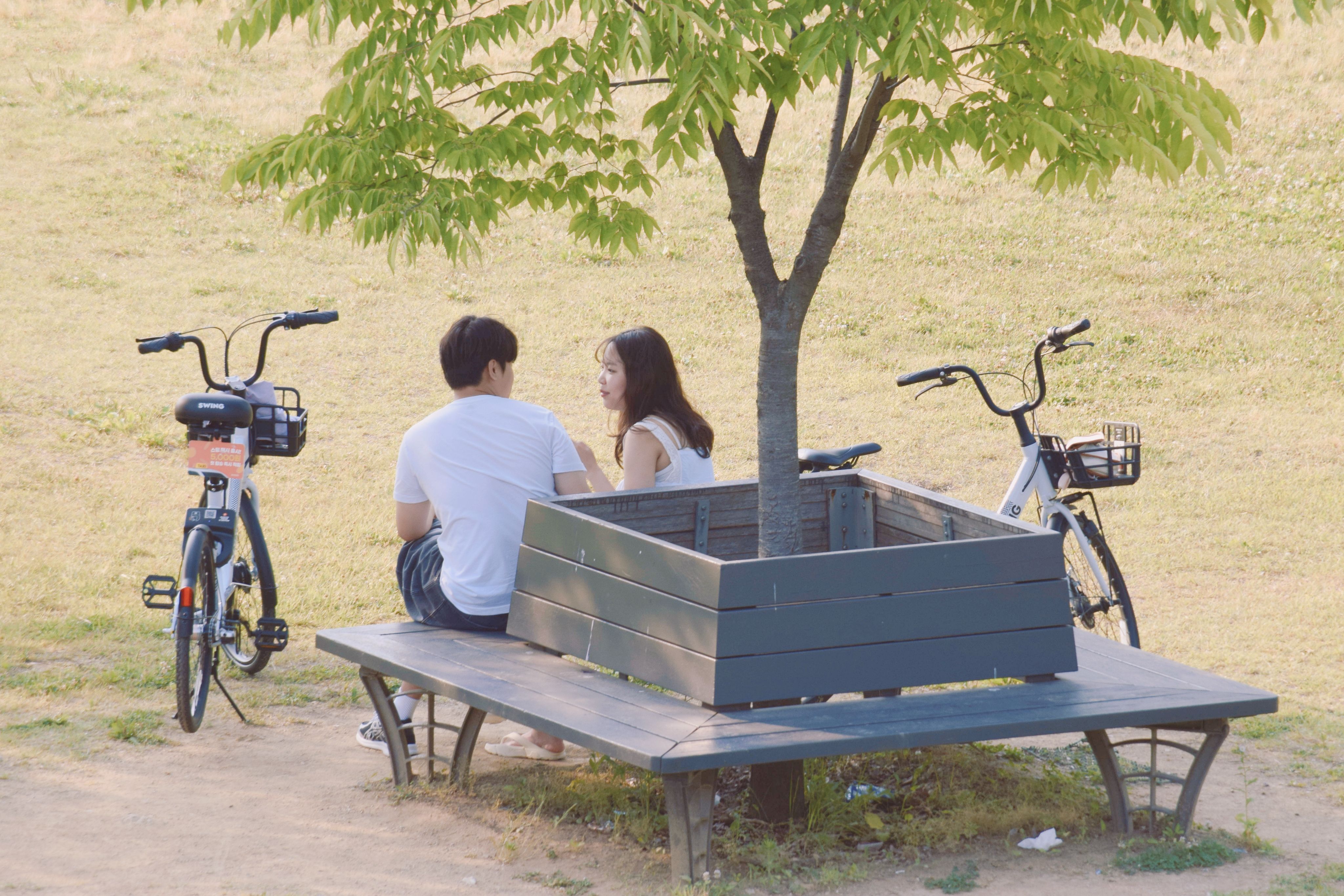 Making Real Korean Friends in Bundang: An Expat’s Practical Survival Guide
