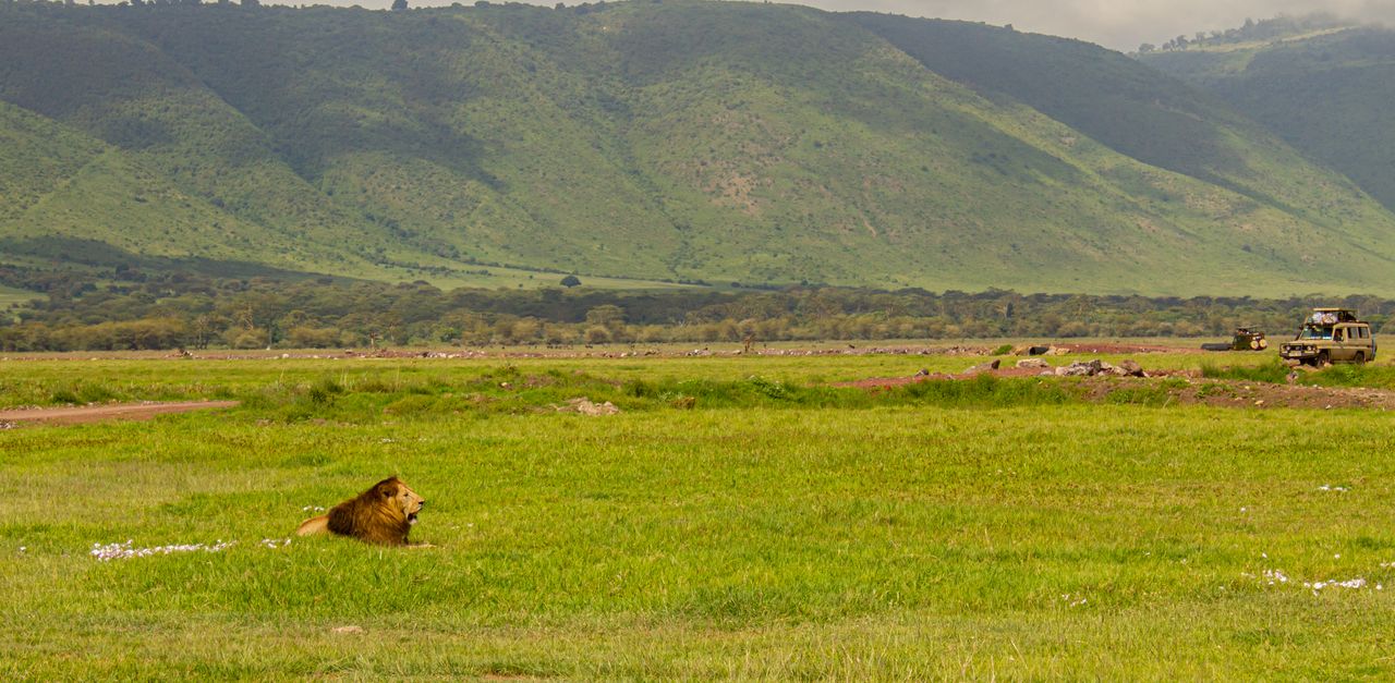 Arusha