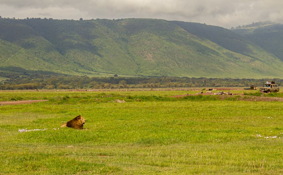 Excursion à Ngorongoro Conservation Area