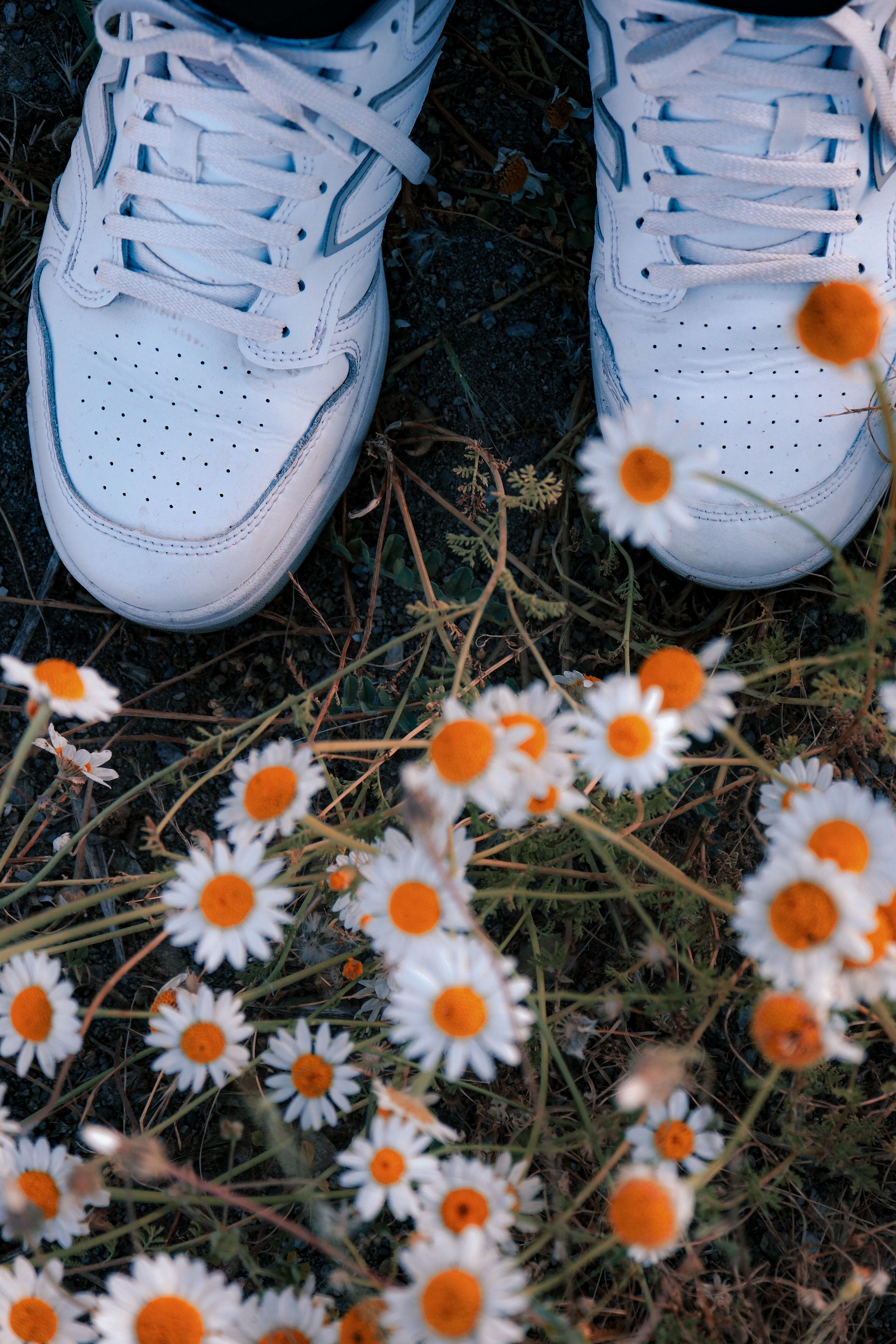 white nike shoes with flowers