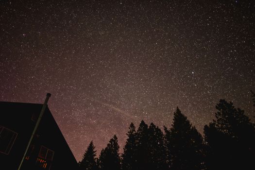 A mesmerizing view of a starry night sky over silhouetted trees and a house.