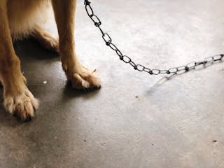 Thumbnail for article about the User Articles