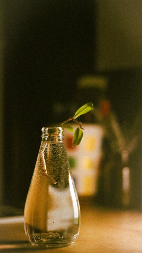 A small bottle with a plant in it on a table