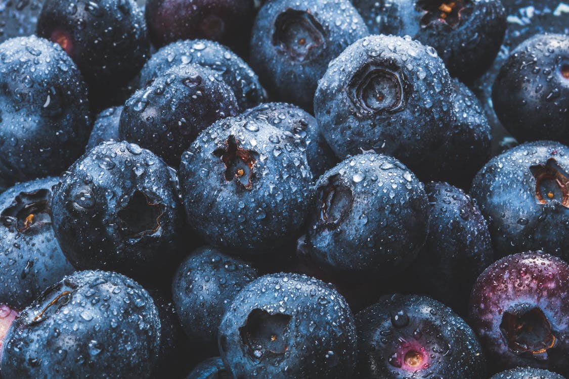 Foto profissional grátis de abundância, alimento, amoras