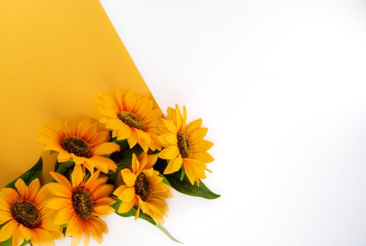 Bright sunflower arrangement with ample copy space on a white and yellow background.