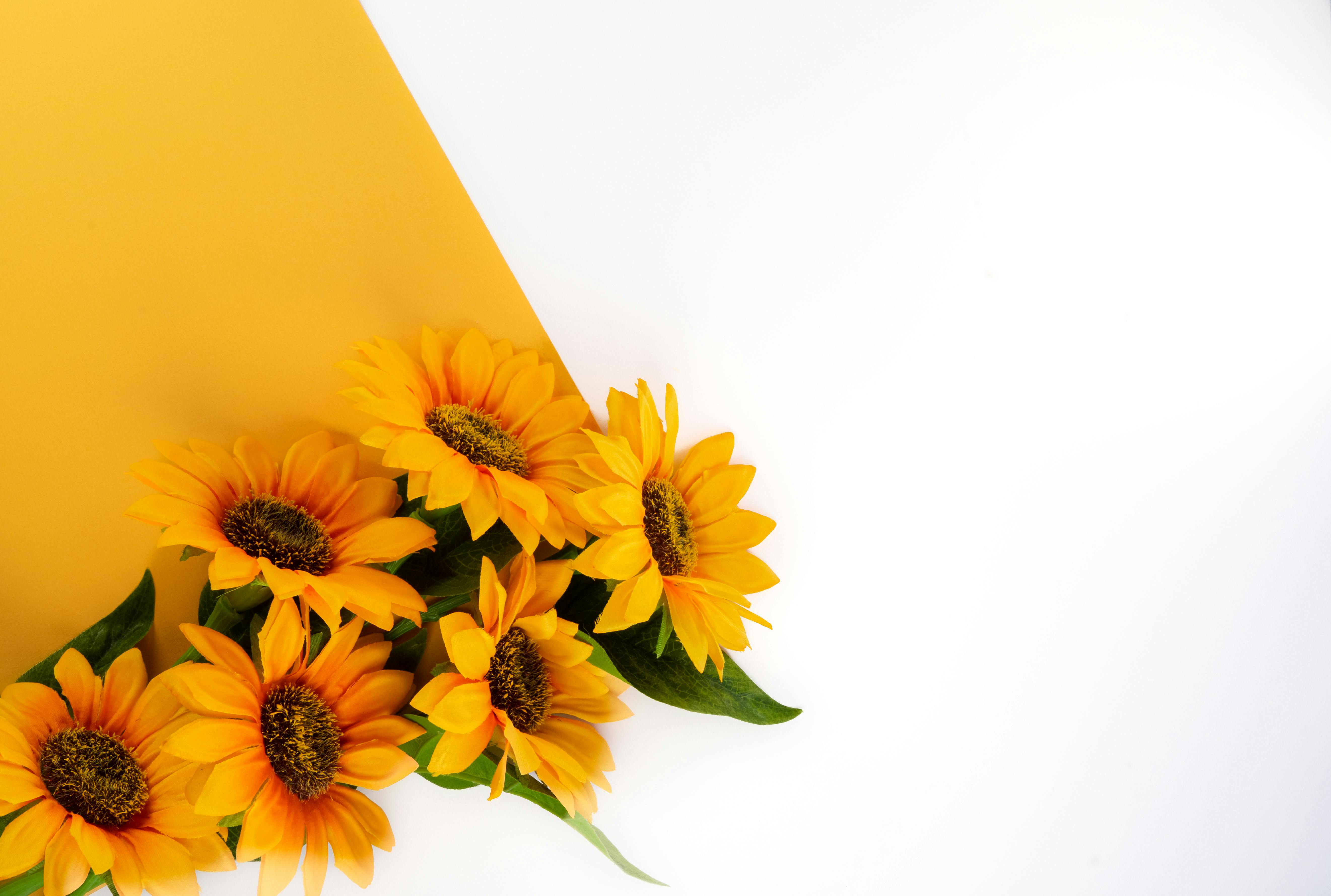 Saquon Barkley Desktop Wallpaper Photos, Download