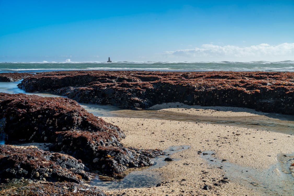 Gratis stockfoto met buiten, buitenshuis, eiland