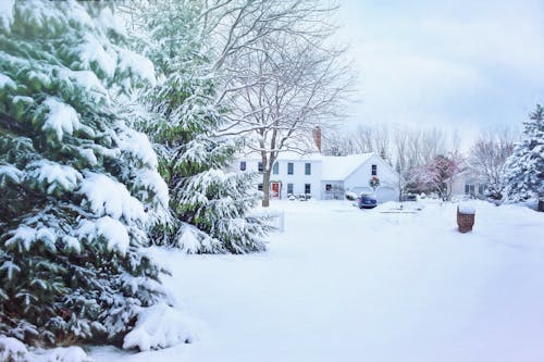 Sneeuw Bedekt Huis En Bomen