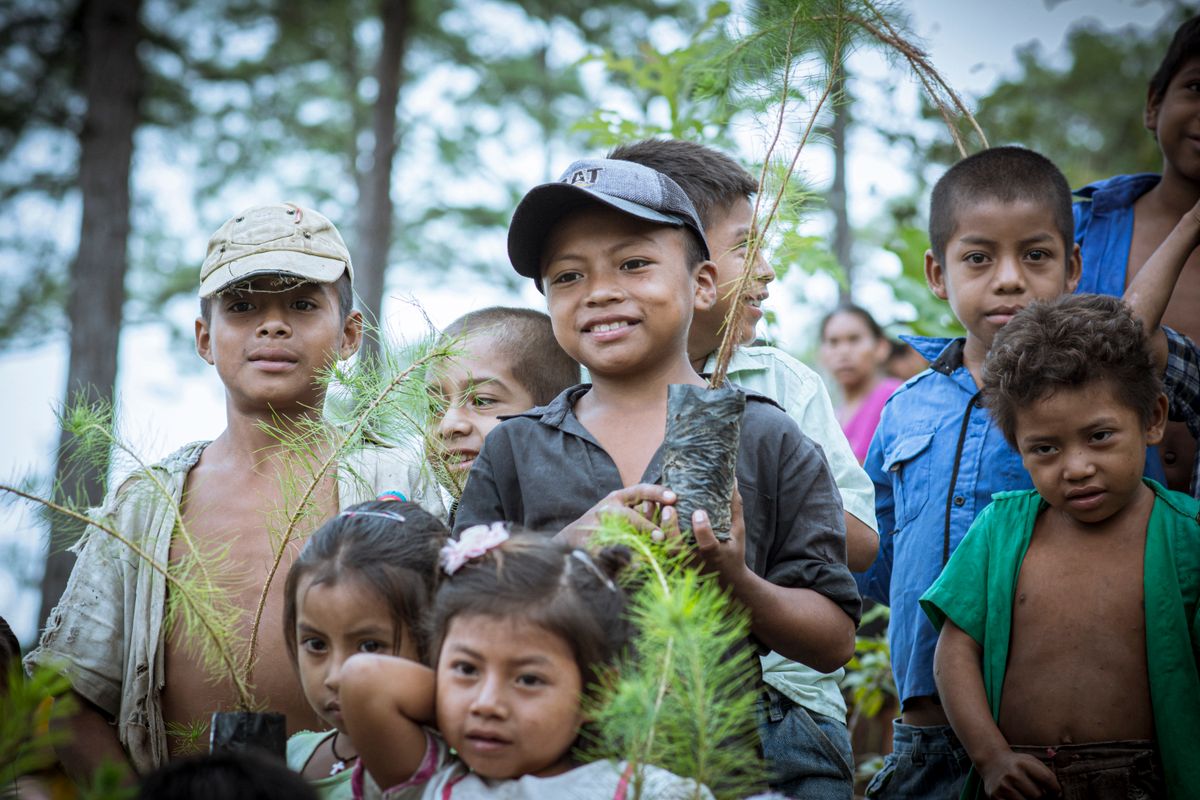 Children holding seedlings before planting them in a community forest