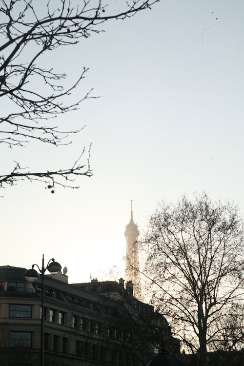 Kostnadsfri bild av arkitektur, byggnad, dimma