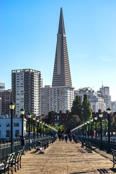 View of Transamerica Pyramid from a city pier under clear blue skies.
