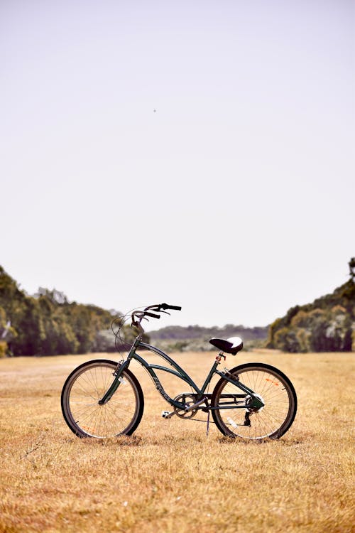 Bicycle Standing on Yellow Grass