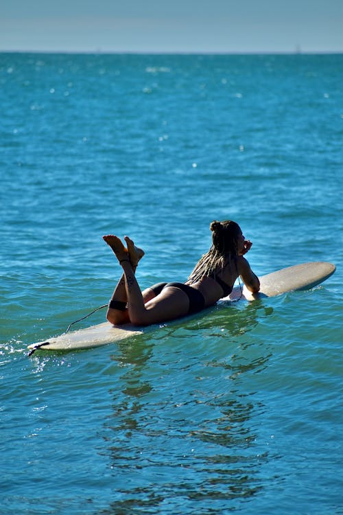 Free stock photo of australia, surfing