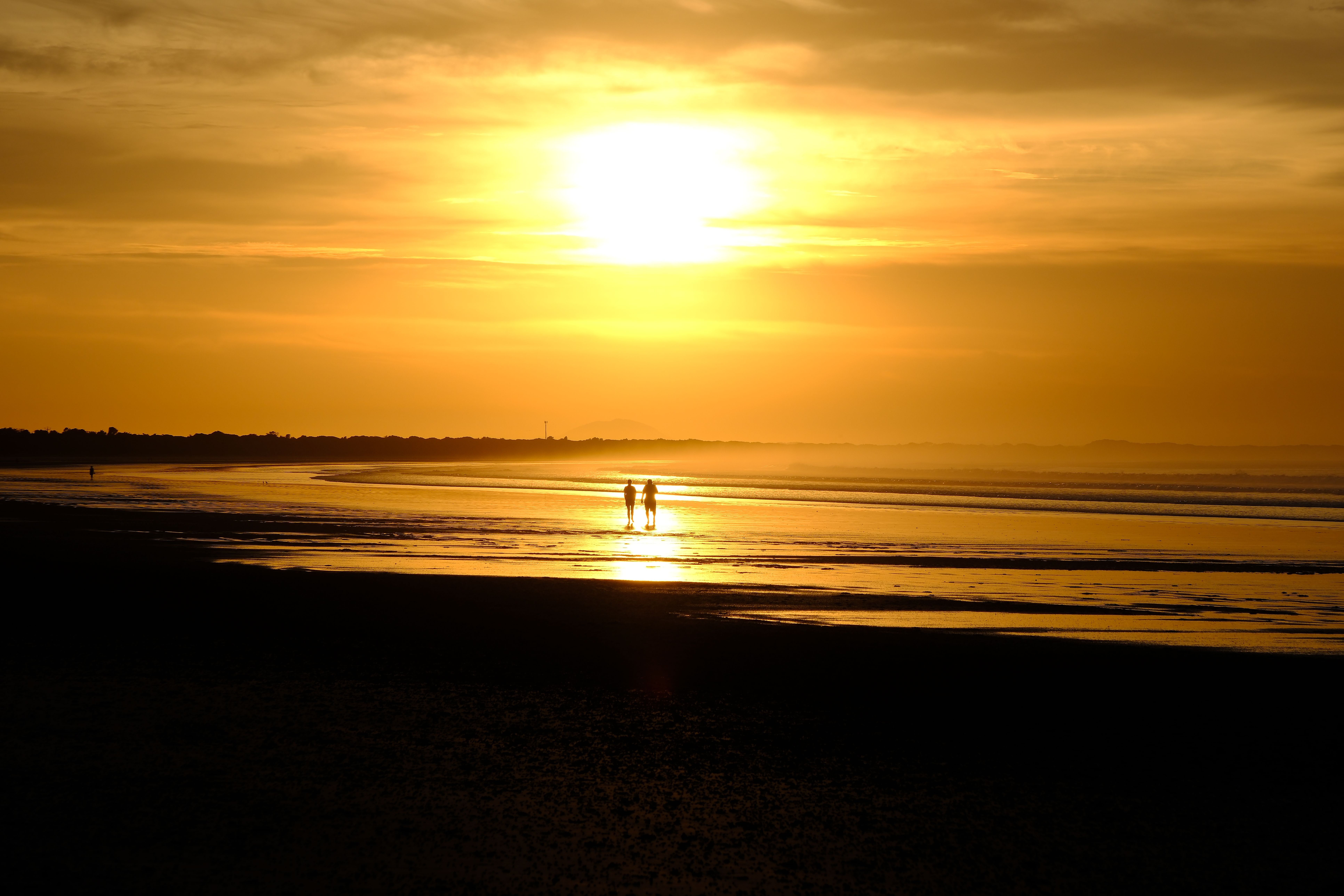 Silhouette of People on Beach During Sunset · Free Stock Photo