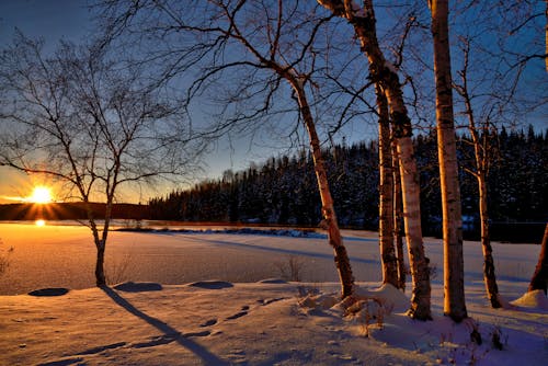 бесплатная Снежное поле в золотой час Стоковое фото