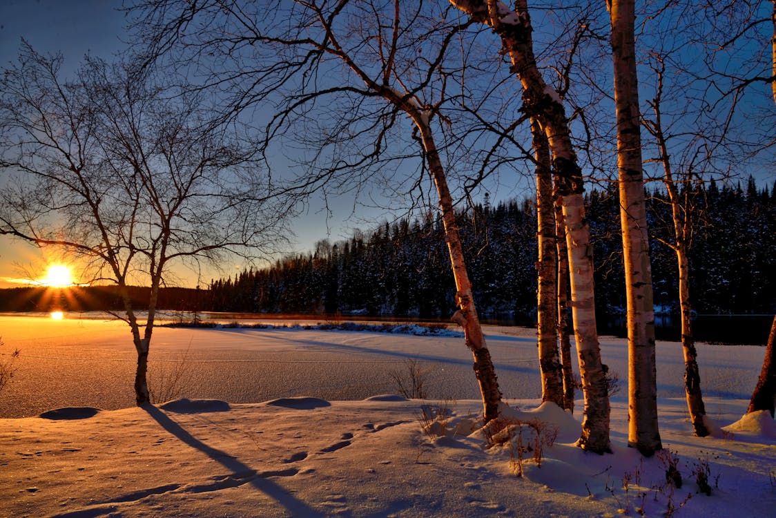 Winter Solstice Celebration (O'Neill)