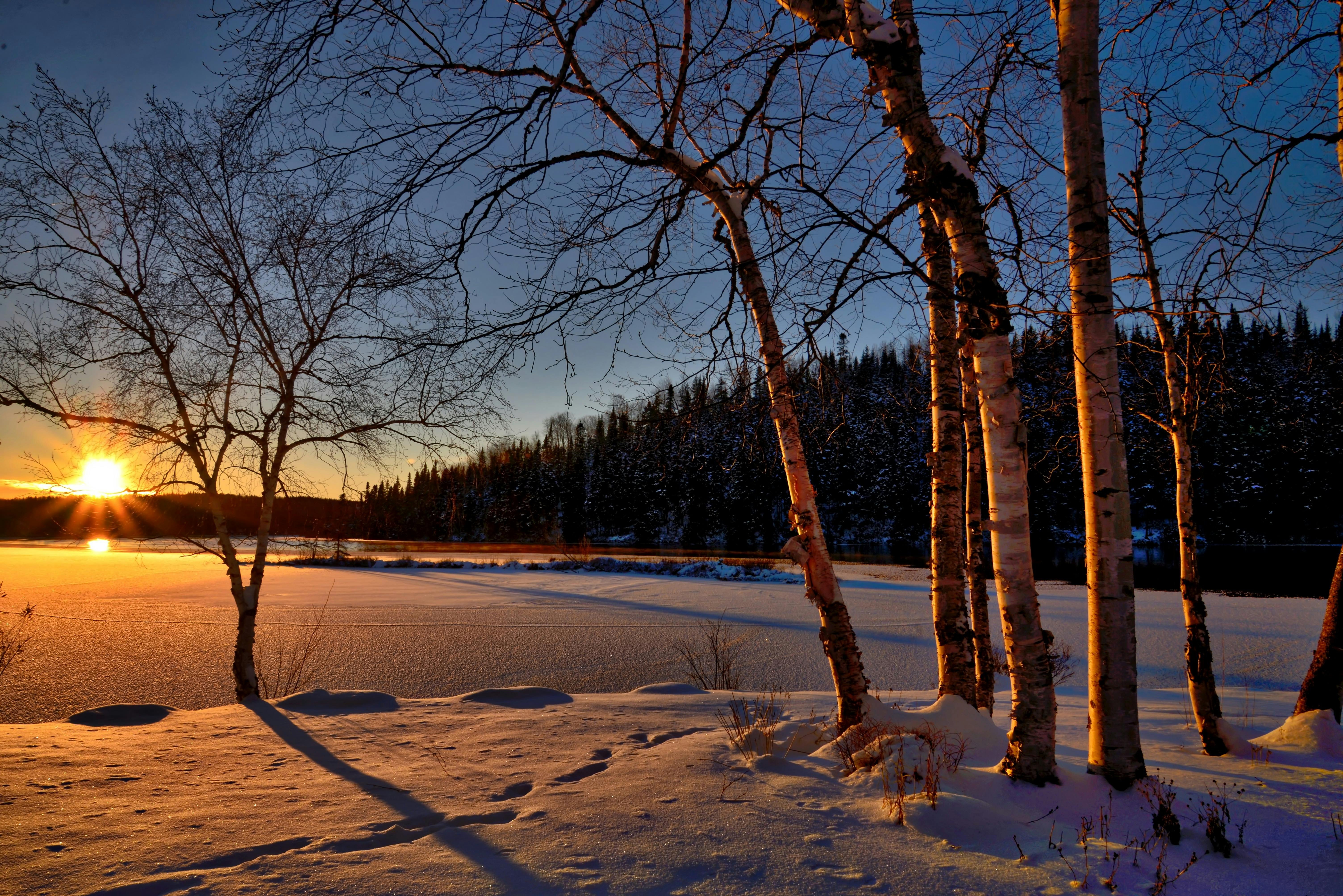 70.000+ Winterbilder und Fotos · Kostenlos Downloaden · Pexels Stock-Fotos