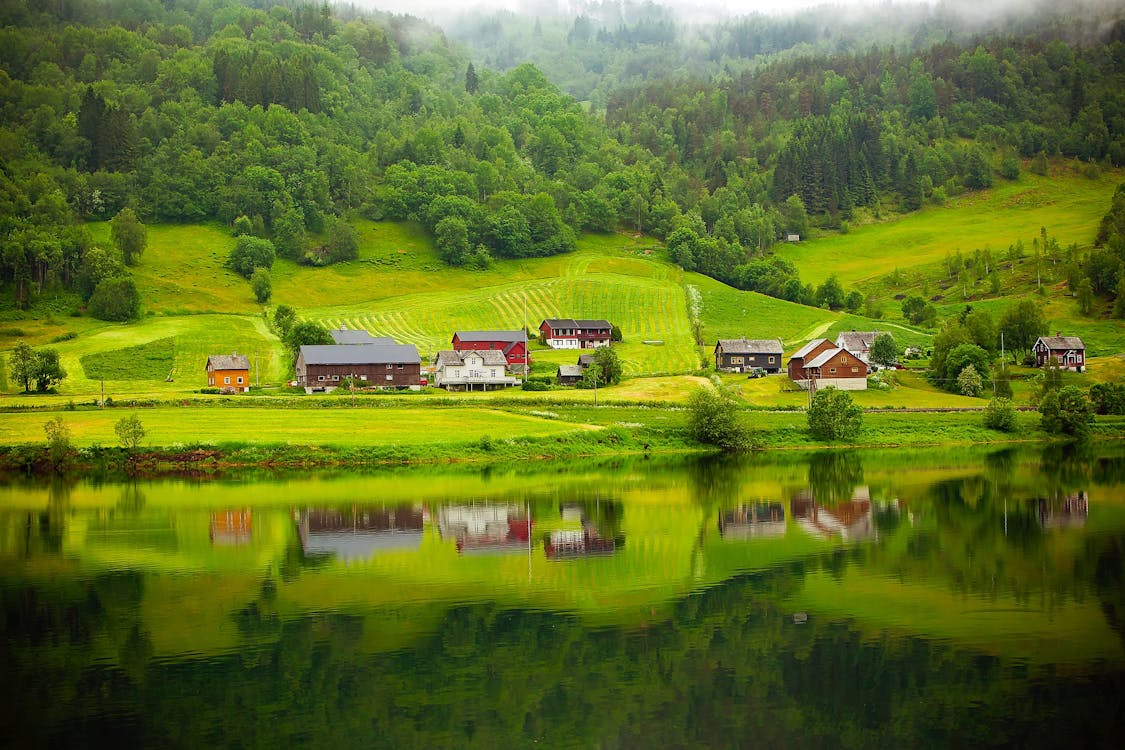 White and Brown House on Grass Field Near Body of Water