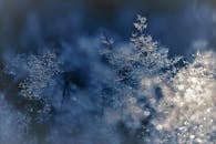 晨光中，霜草映着波光，营造出梦幻般的效果