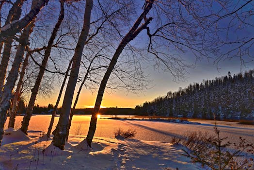 Free stock photo of cold, snow, landscape, nature