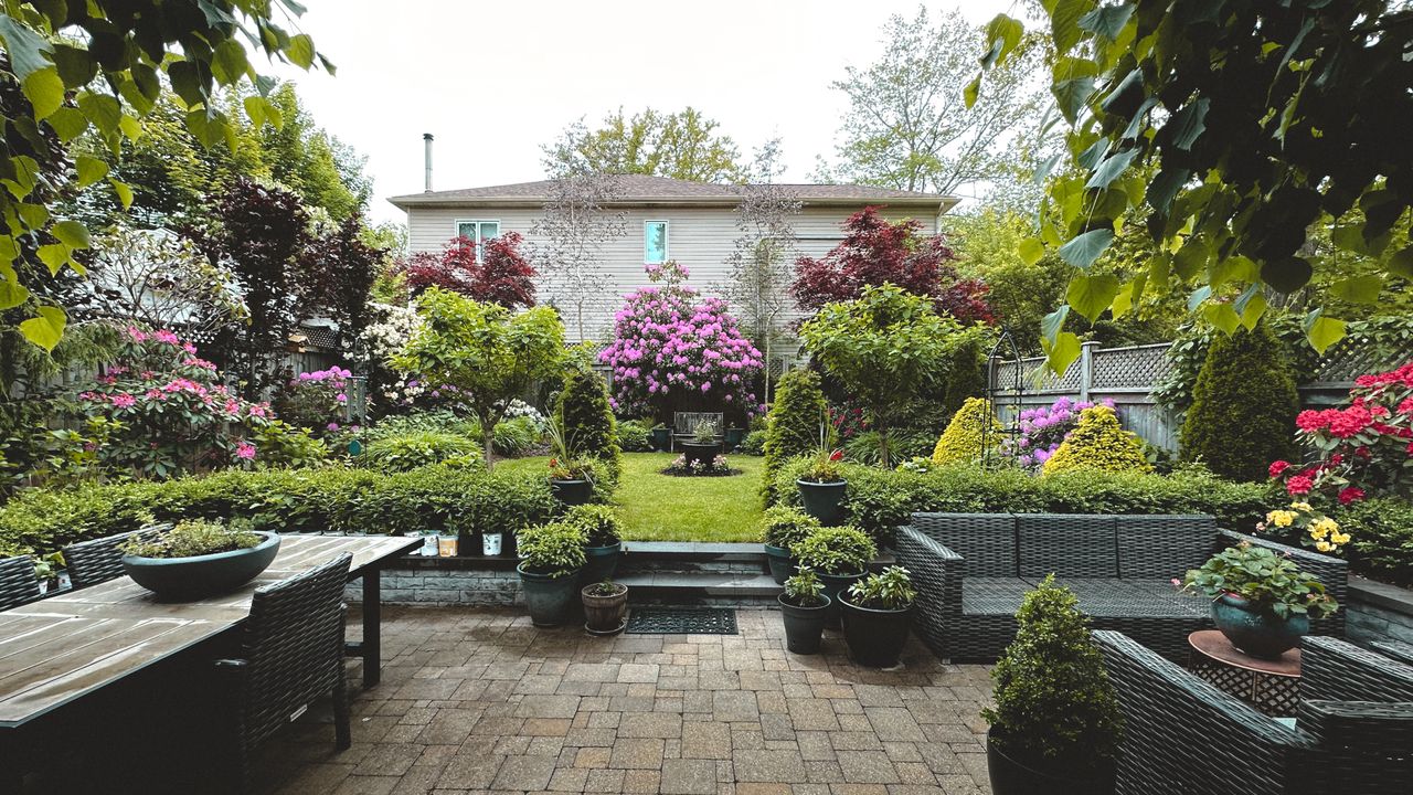 A mature rear garden — layered planting, paving and seating