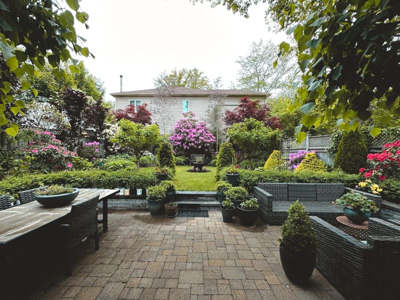 Best Drought-Resistant Plants for North Texas Landscaping in 2026