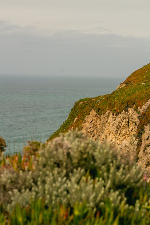 夏天, 太陽, 島 的 免費圖庫相片