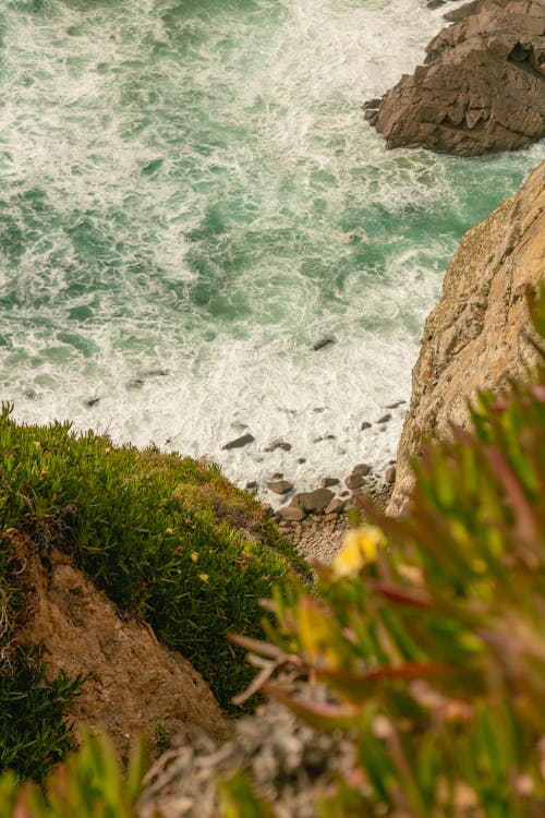 Immagine gratuita di acqua, bagnasciuga, bellissimo