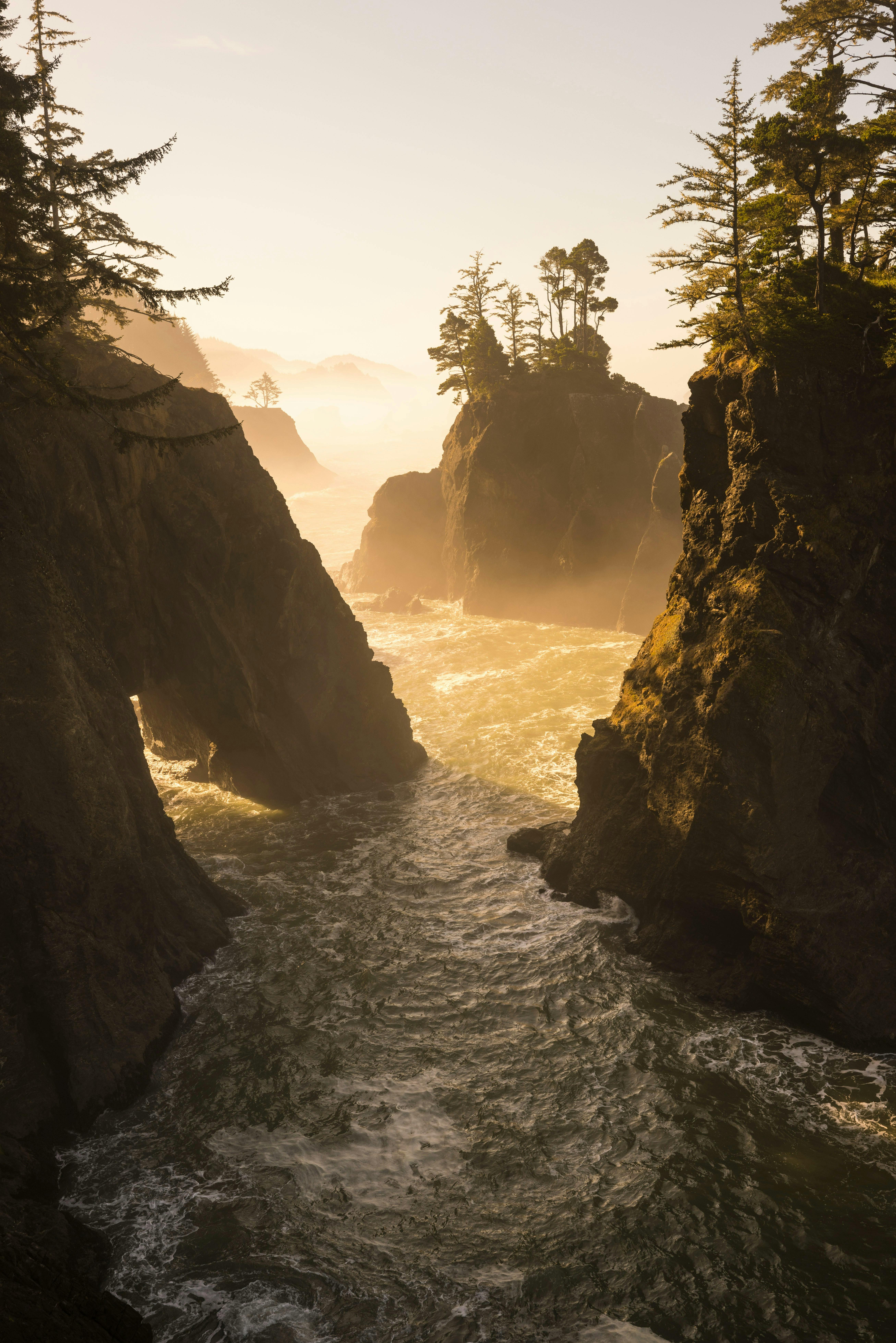 Breathtaking view of rocky coastline with mist and trees illuminated by sunset light.