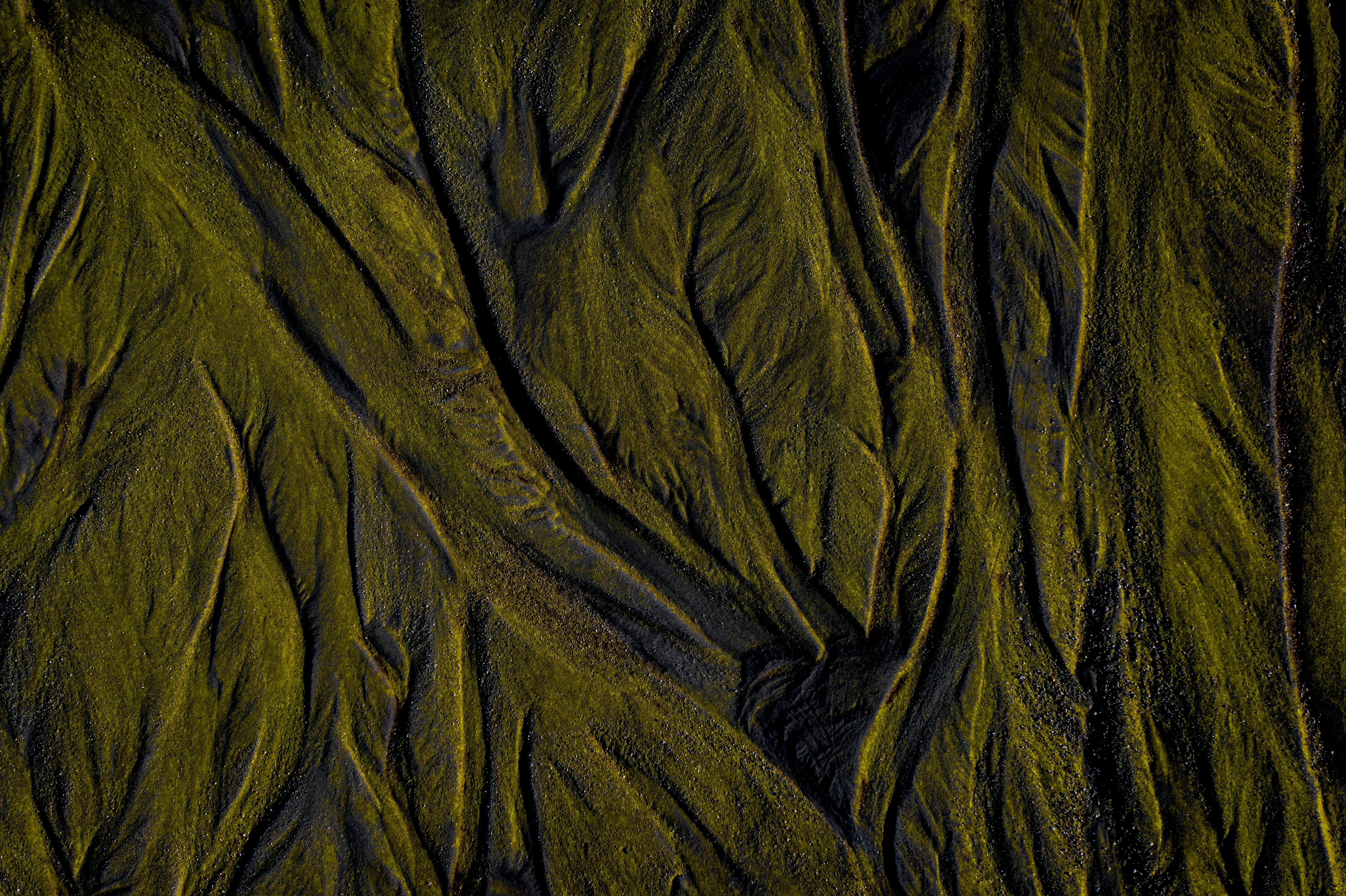 Aerial close-up of a textured green pattern creating an artistic abstract design.