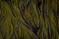 Abstract Green Pattern