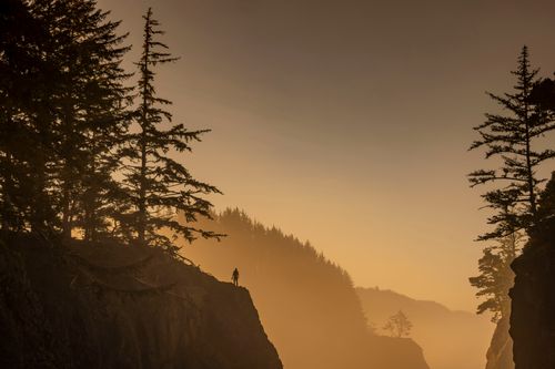 Free A solitary figure stands on a cliff, surrounded by mist and evergreen trees at sunset. Stock Photo