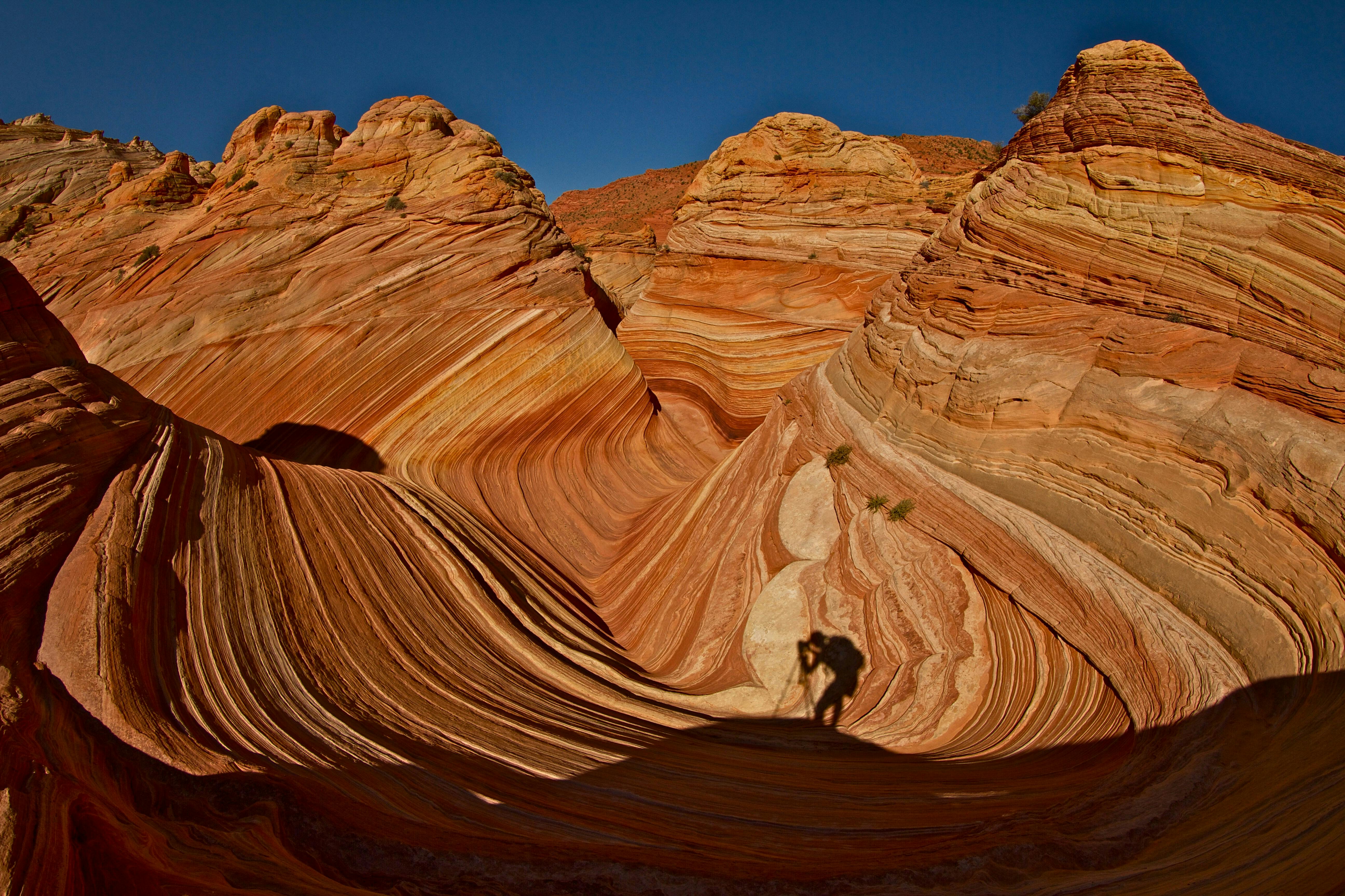 A stunning capture of The Wave sandstone formation under a bright sun, showcasing beautiful natural patterns and shadows.