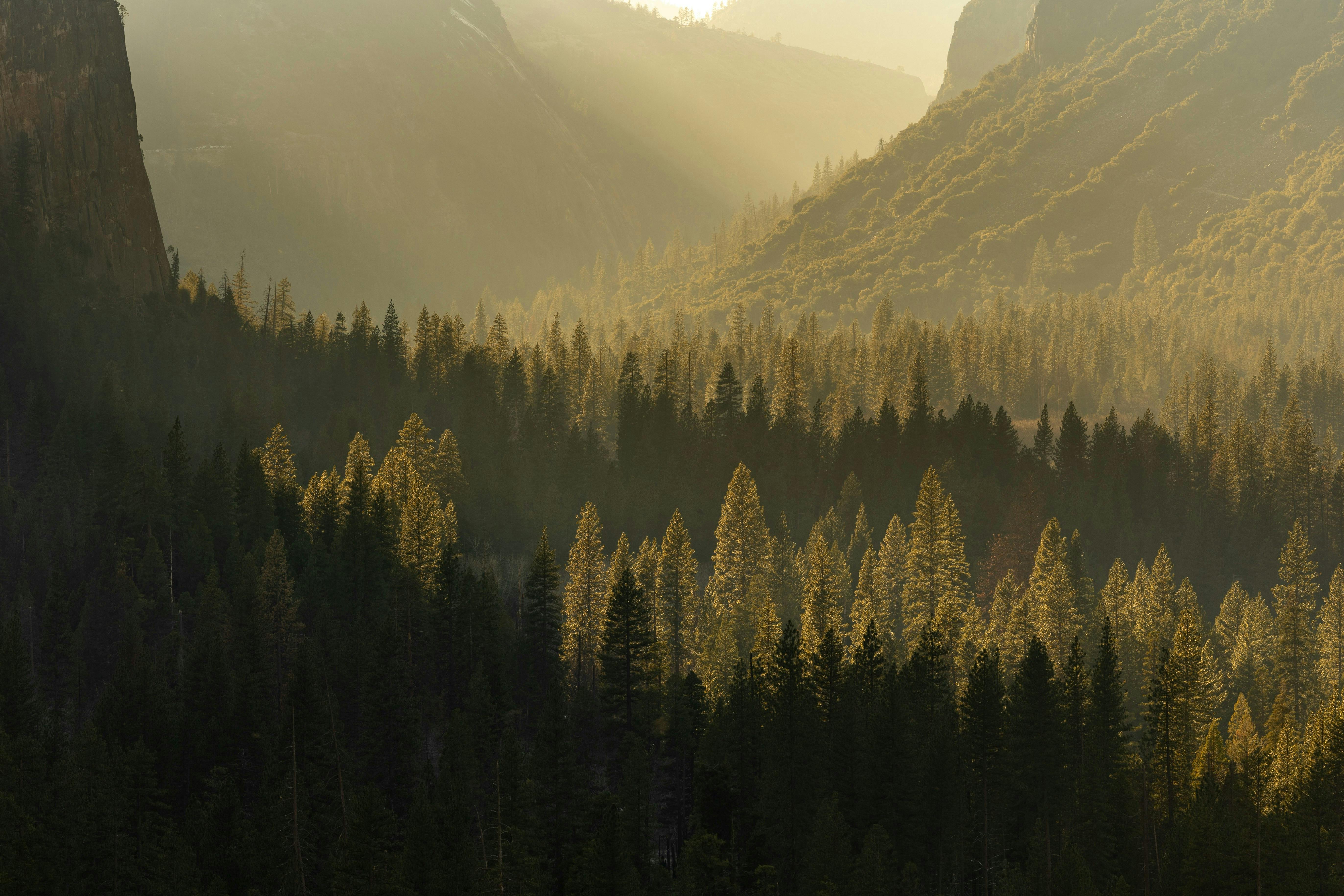 Dramatic sunlight streaming through a lush forest and mountain valley.