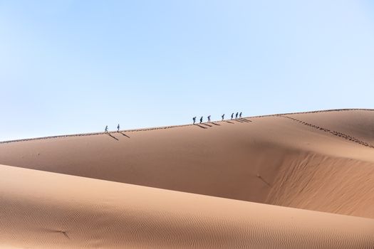 Group of people hiking across vast desert dunes with clear blue sky above, showcasing a serene and adventurous landscape.