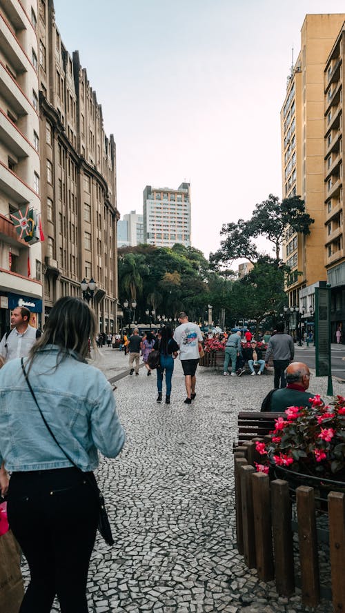 Základová fotografie zdarma na téma arquitetura, arte urbana, bosque alemão