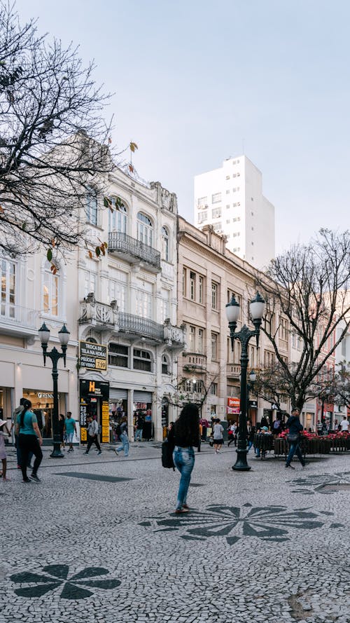 Základová fotografie zdarma na téma arquitetura, arte urbana, bosque alemão