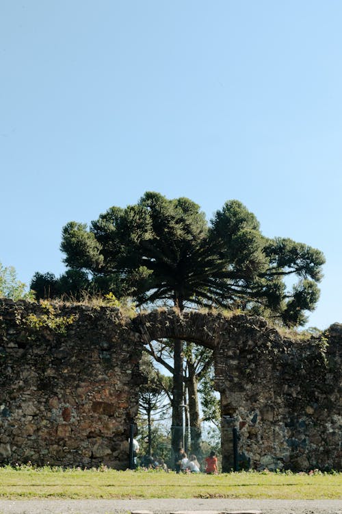 Základová fotografie zdarma na téma arquitetura, arte urbana, bosque alemão