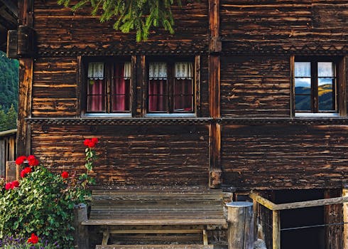 Charming rustic wooden cabin facade with vibrant red roses and lace curtains.