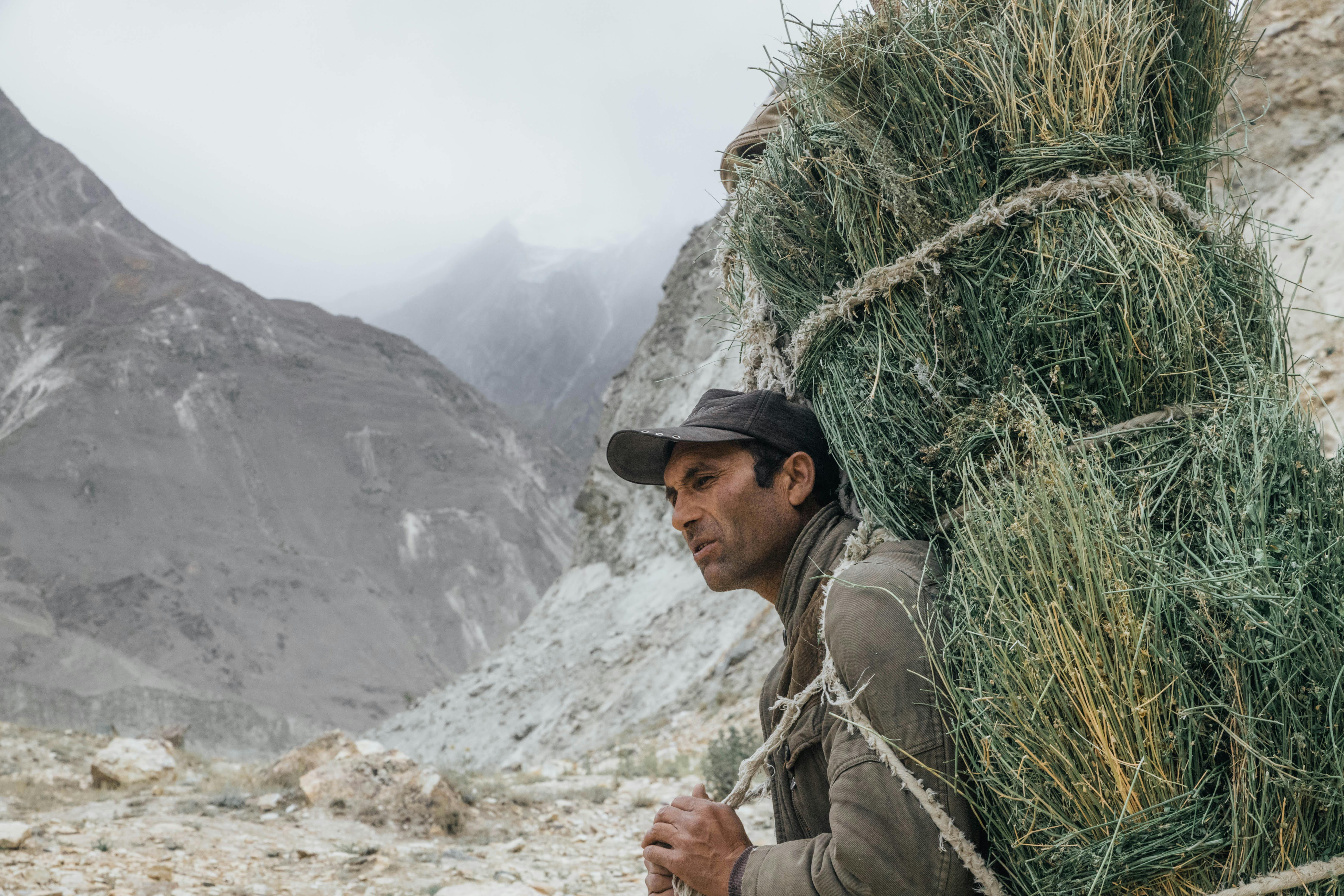 v999-82 hôm sau đánh 61-46 hay bắt buộc đi với 00 hoặc 9 PG88S.IO - Bí quyết dự đoán & phần trăm ăn tiền