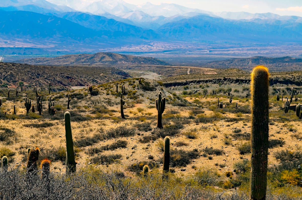 Modern waterfront condo overlooking Tampa Bay