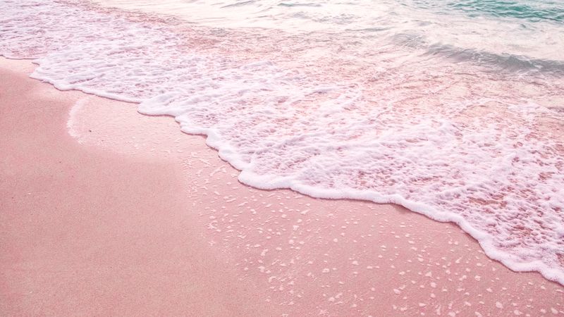 wisatawan menikmati suasana pantai pink lombok yang tenang