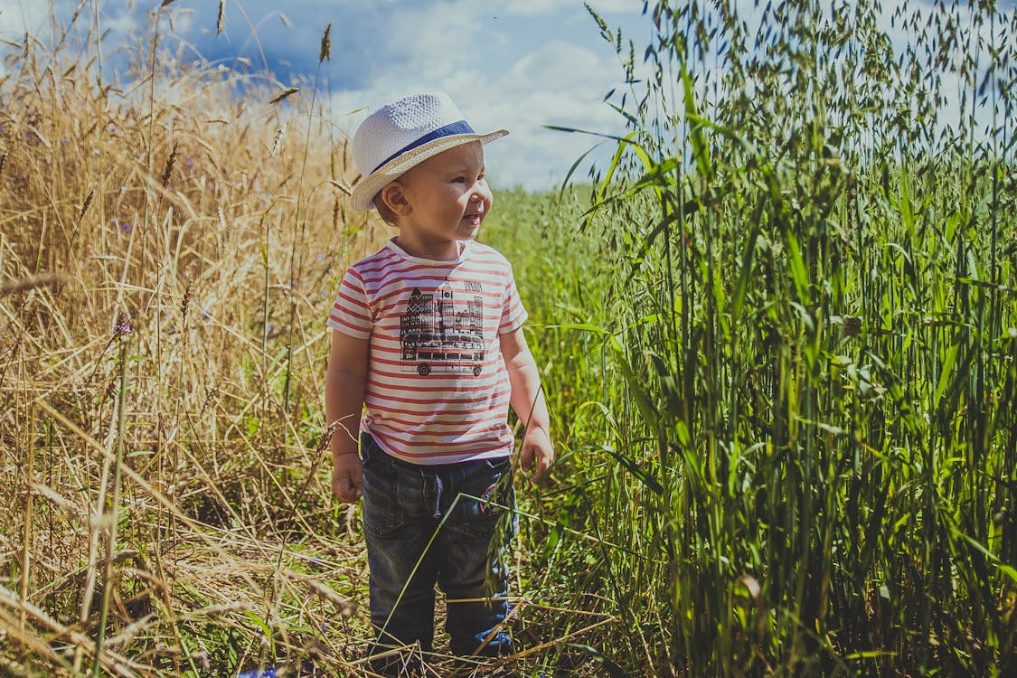 Základová fotografie zdarma na téma chlapec, dítě, farma