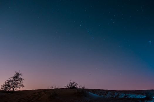 宁静的夜空中，星星点缀着安静的沙漠景观，树木轮廓鲜明