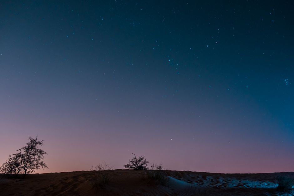 Sonoran Desert landscape at dusk — the natural habitat of the bufo frog