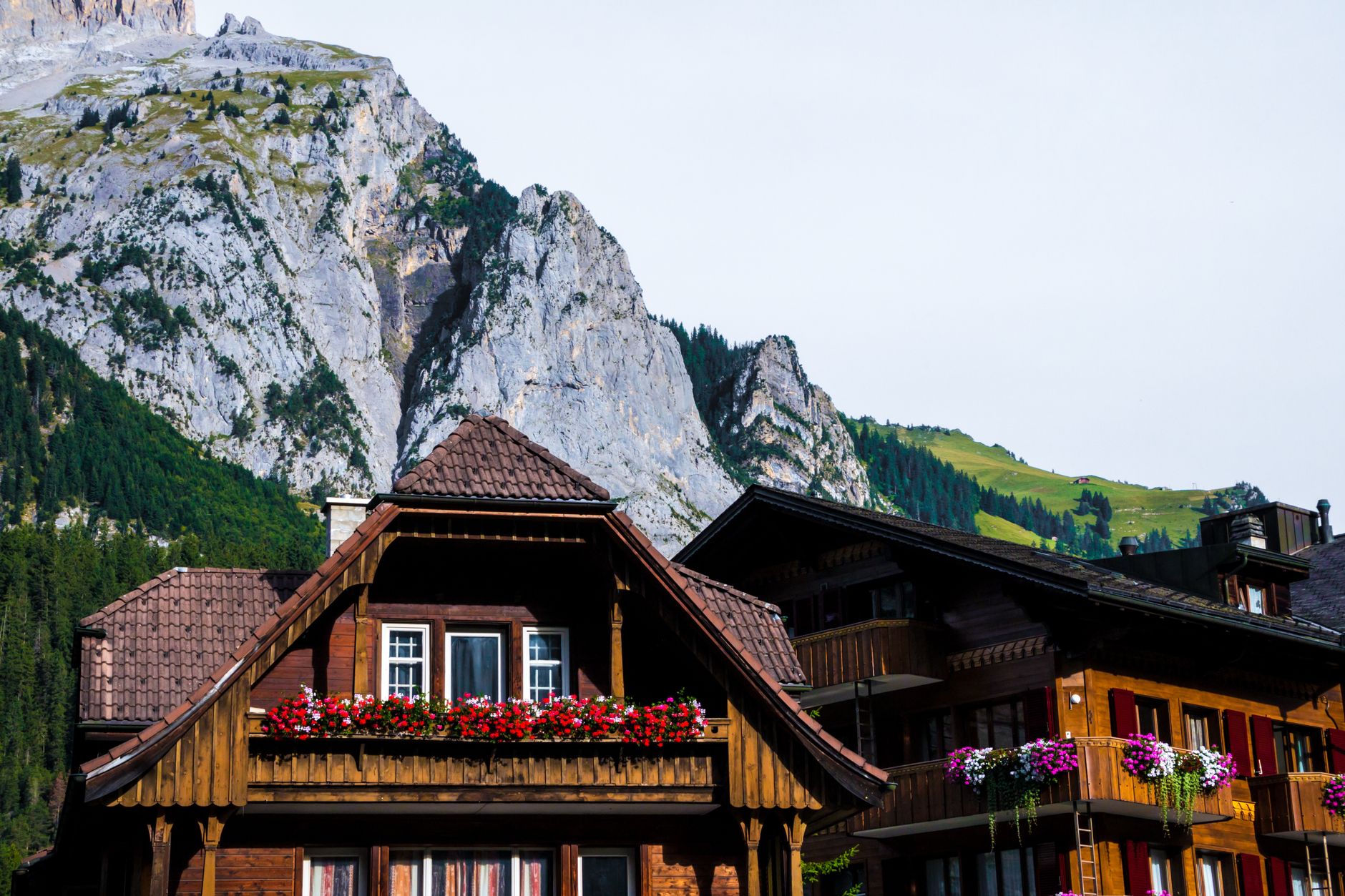 Derechos del Inquilino Latino en Suiza