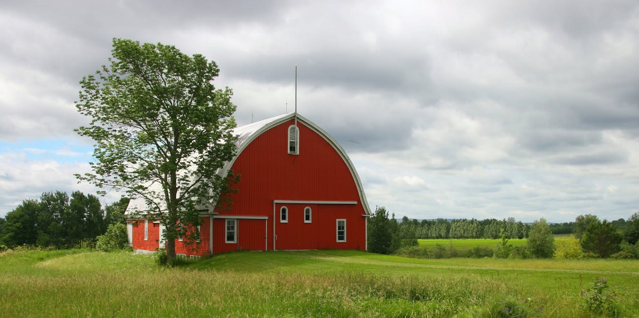 Orange Holzhaus Umgeben Von Grünen Bäumen