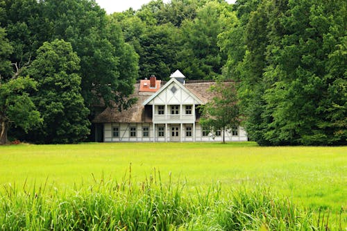 草场附近的白色和棕色混凝土房子
