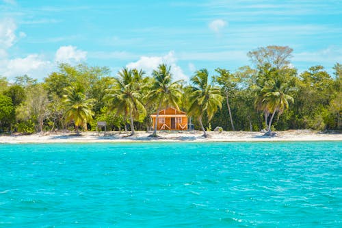 ココナッツの木の近くのビーチにある木造の小屋の写真