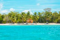 Photo of Wooden Cabin on Beach Near Coconut Trees